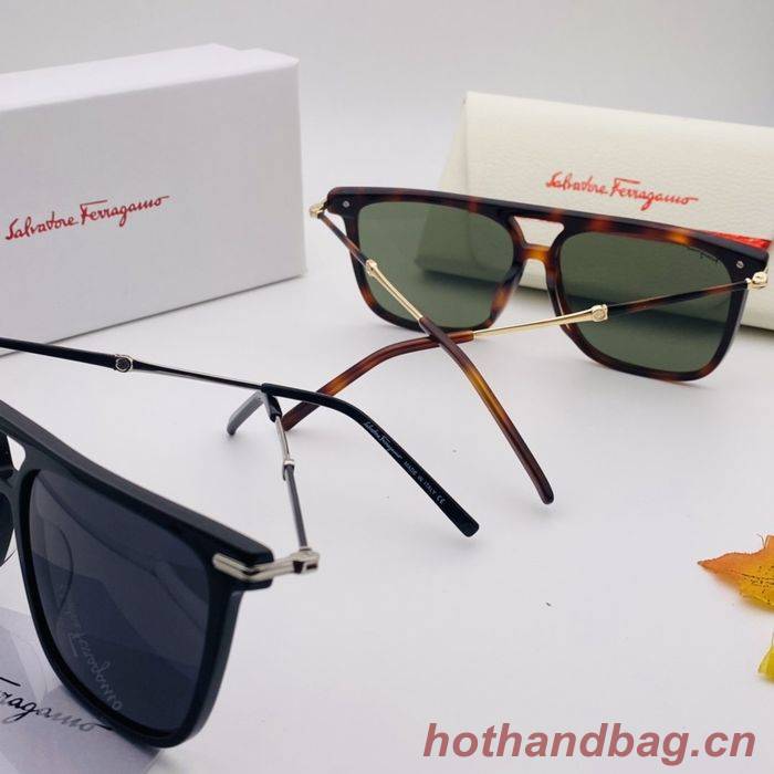 Salvatore Ferragamo Sunglasses Top Quality SFS00143